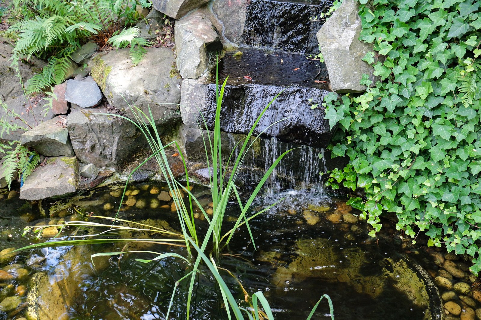 Garden Meditation Soothing Water