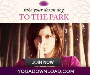 Your Online Yoga Studio